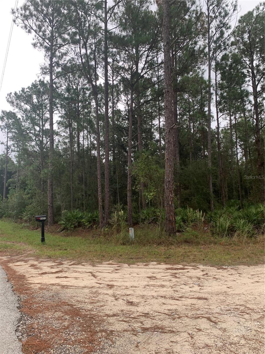 OIL WELL RD, CLERMONT, FL — photo 5