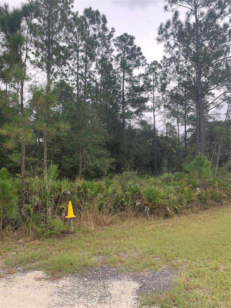 OIL WELL RD, CLERMONT, FL — photo 7