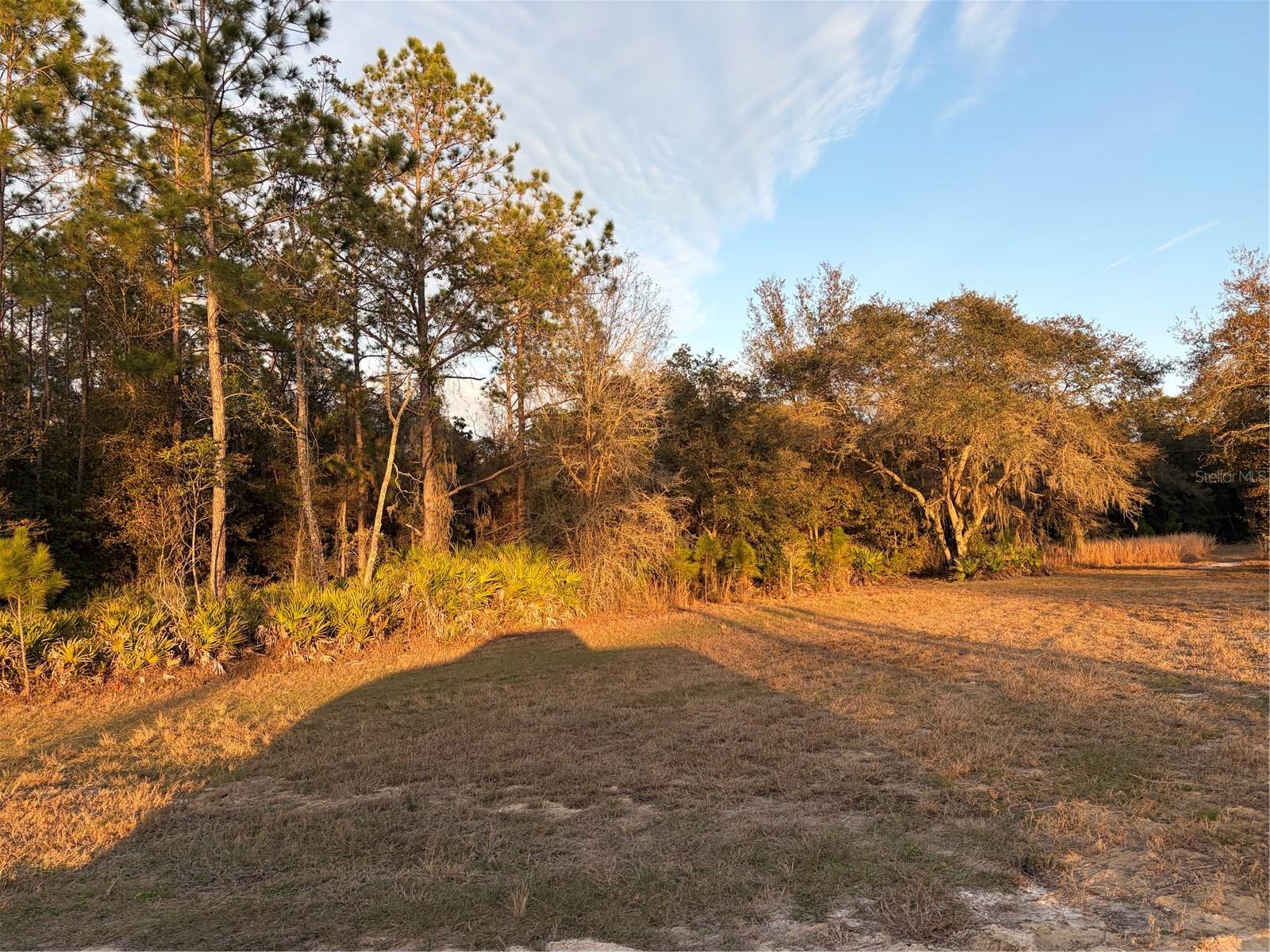 OIL WELL RD, CLERMONT, FL — photo 12