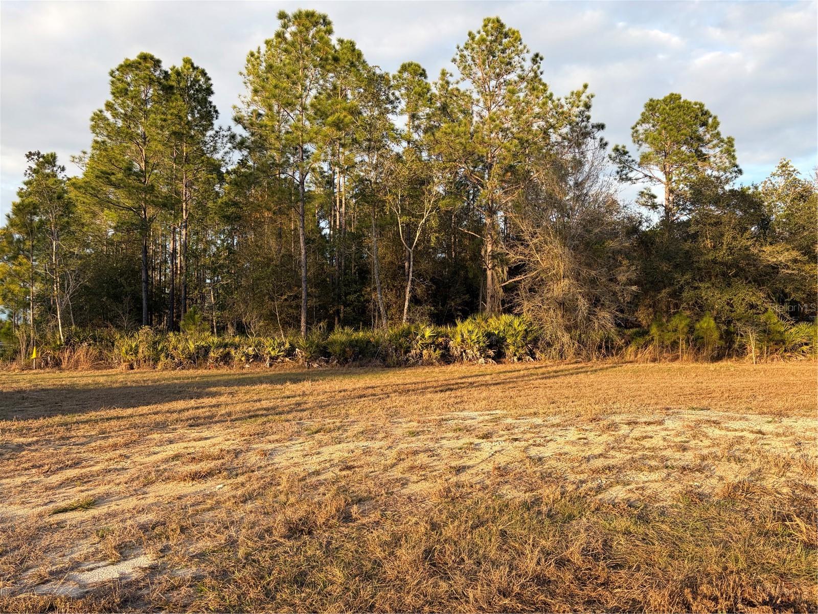 OIL WELL RD, CLERMONT, FL — photo 15