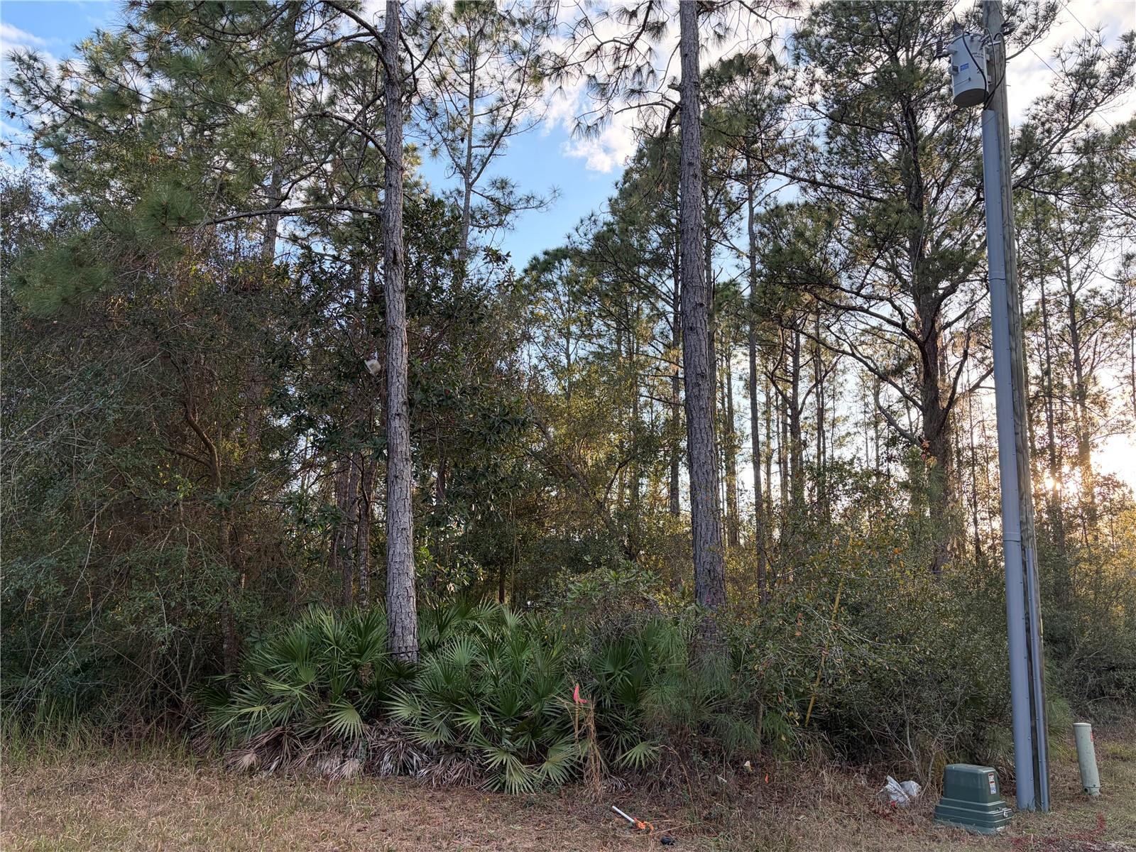 OIL WELL RD, CLERMONT, FL