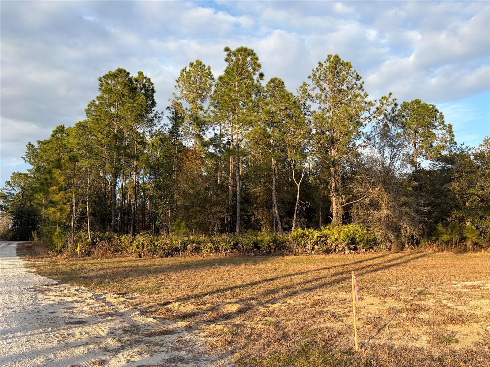 OIL WELL RD, CLERMONT, FL — photo 20