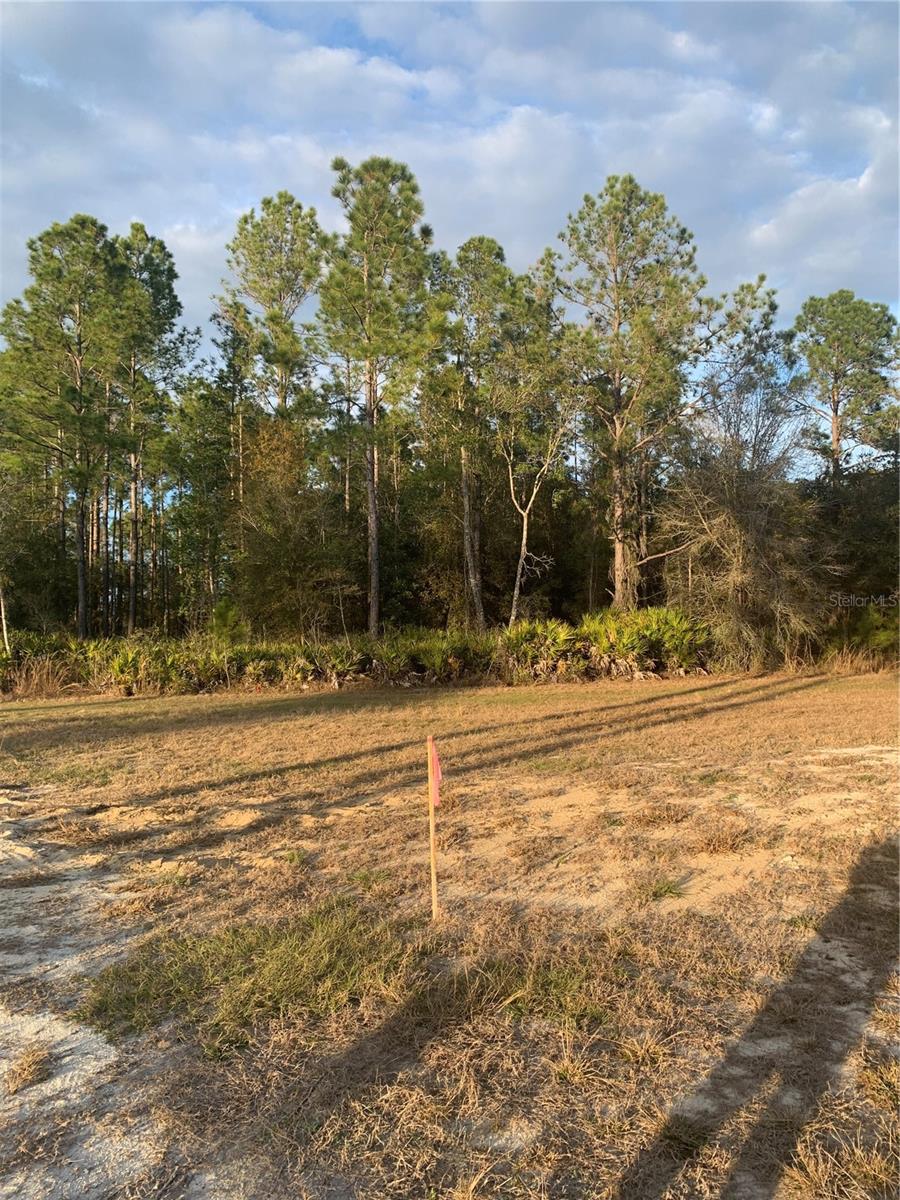 OIL WELL RD, CLERMONT, FL — photo 24