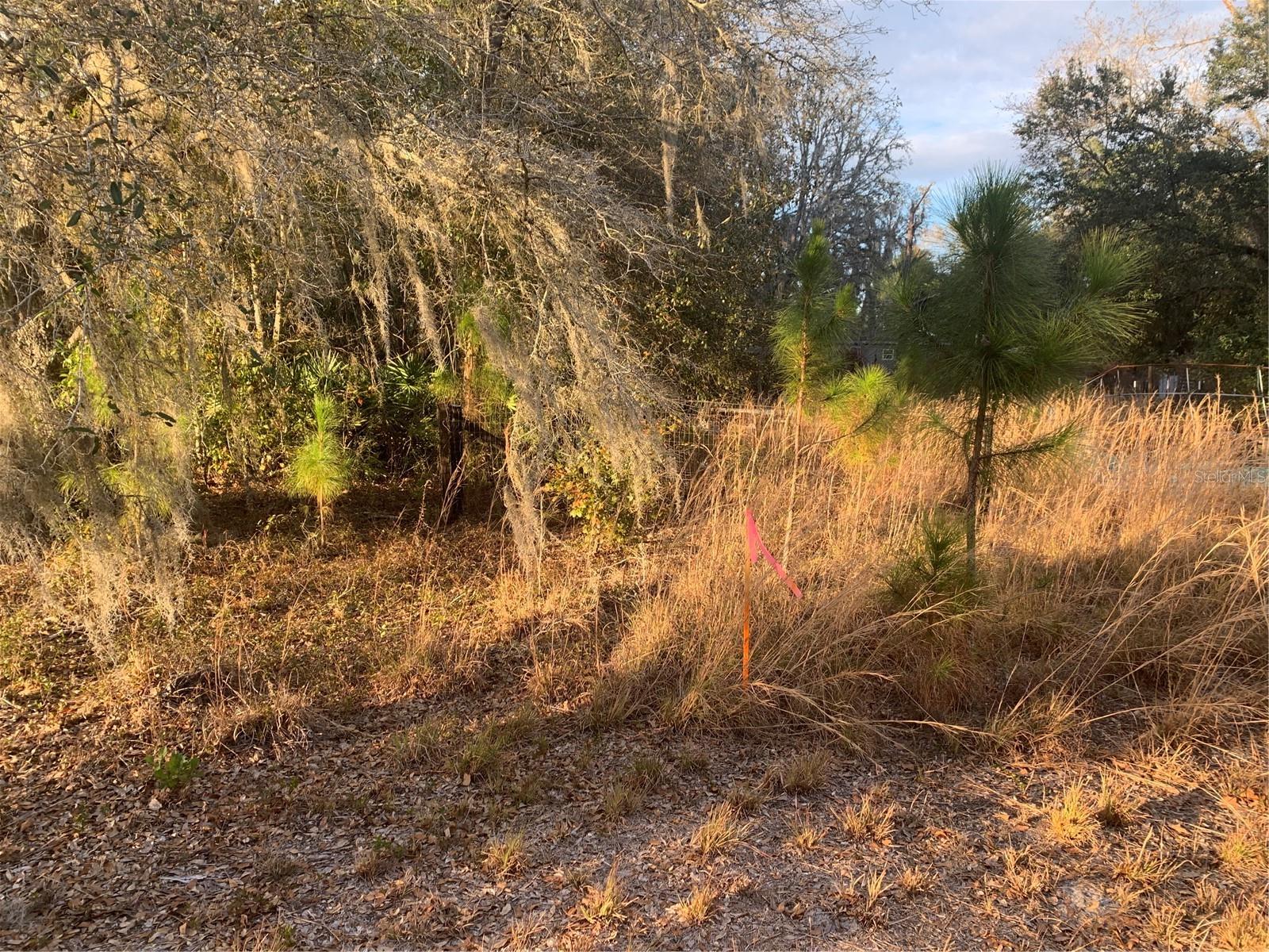 OIL WELL RD, CLERMONT, FL — photo 25