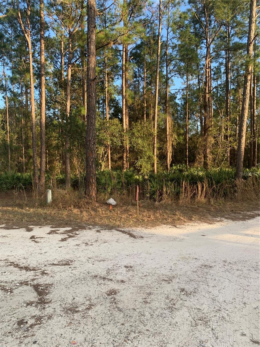 OIL WELL RD, CLERMONT, FL — photo 28