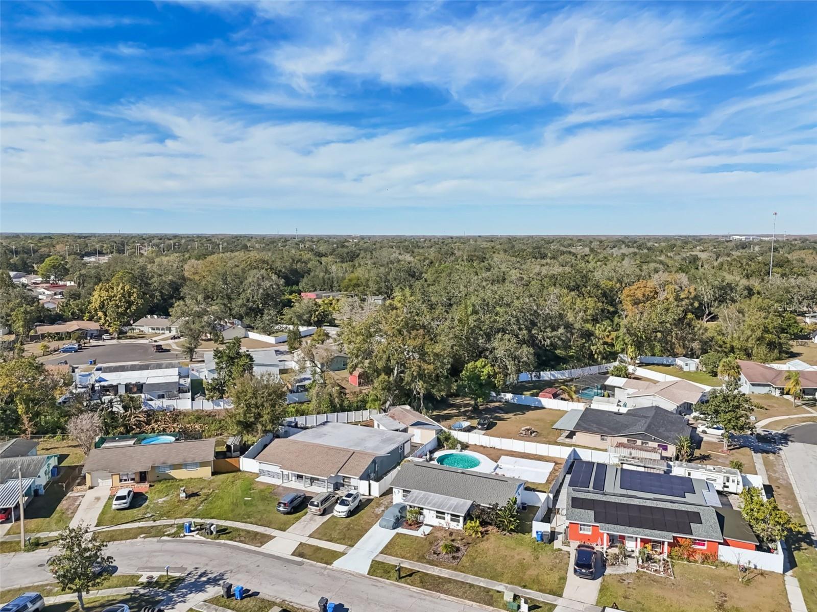 6503 AMUNDSON CT, TAMPA, FL — photo 60