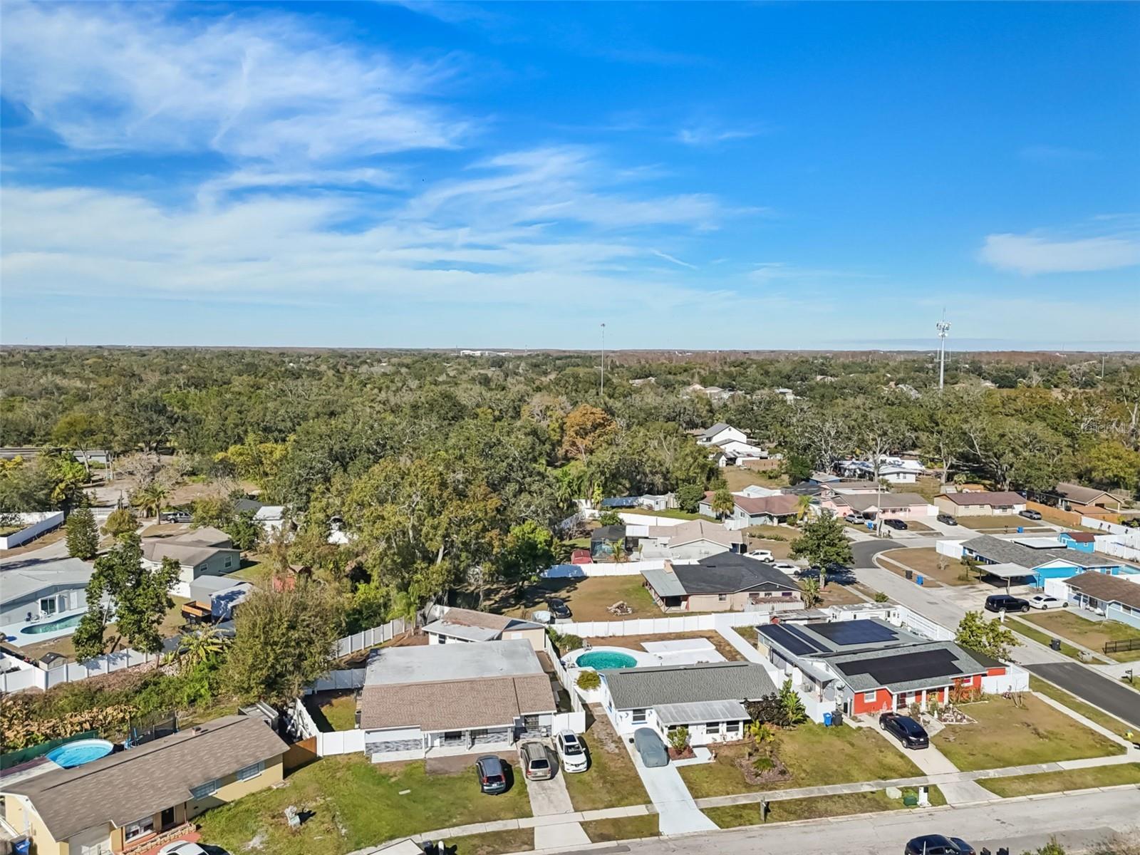 6503 AMUNDSON CT, TAMPA, FL — photo 62