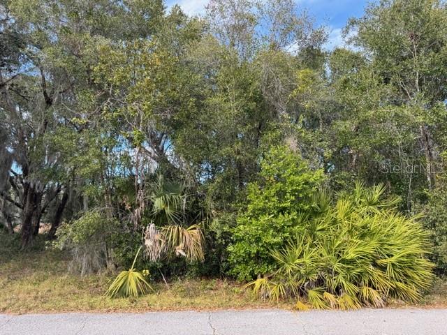 195 LAKE MOLLY AVE, DELAND, FL — photo 2