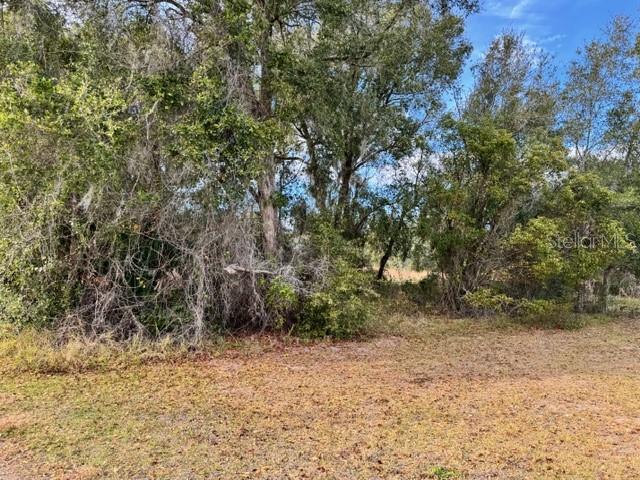 195 LAKE MOLLY AVE, DELAND, FL — photo 3