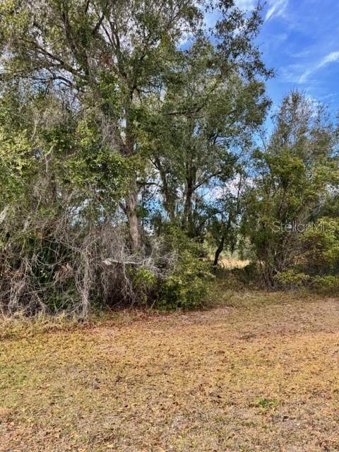 195 LAKE MOLLY AVE, DELAND, FL — photo 4