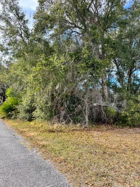 195 LAKE MOLLY AVE, DELAND, FL — photo 5