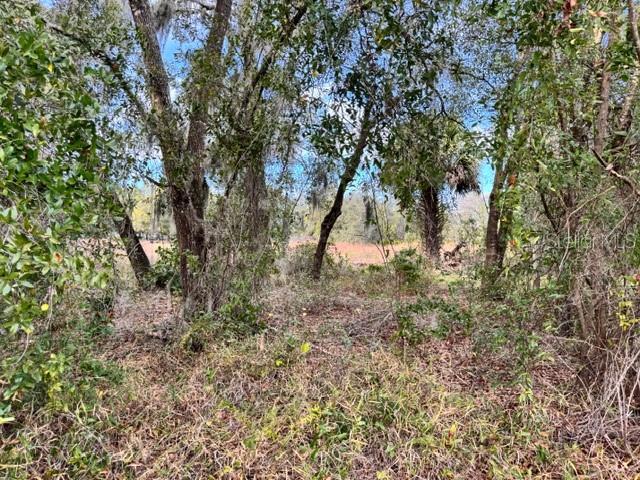 195 LAKE MOLLY AVE, DELAND, FL — photo 6