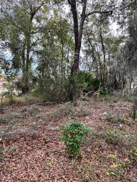 195 LAKE MOLLY AVE, DELAND, FL — photo 7