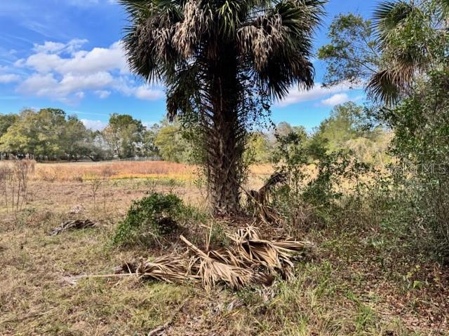 195 LAKE MOLLY AVE, DELAND, FL — photo 8
