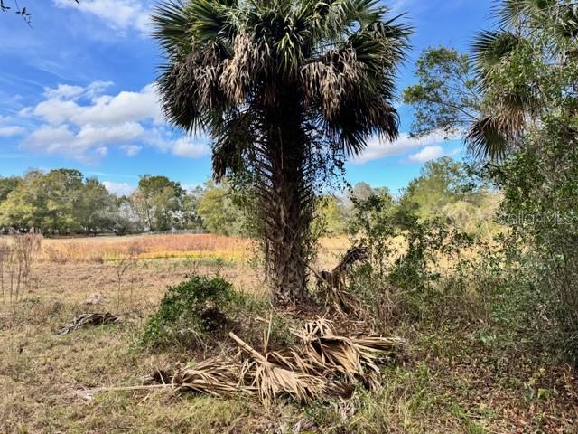 195 LAKE MOLLY AVE, DELAND, FL — photo 9