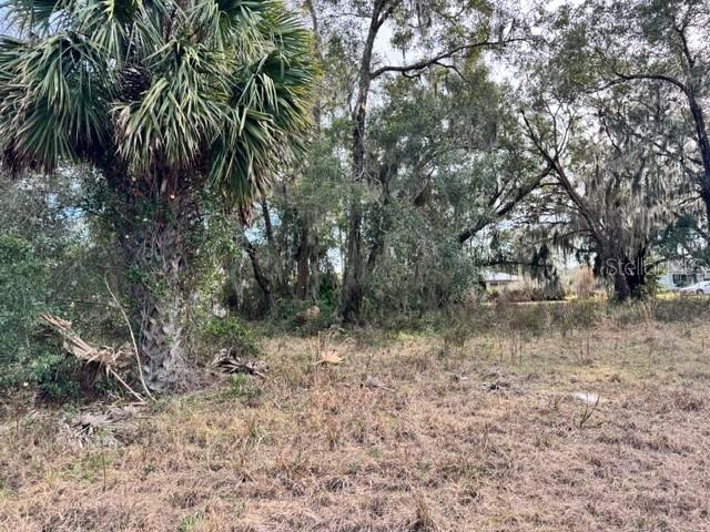 195 LAKE MOLLY AVE, DELAND, FL — photo 11