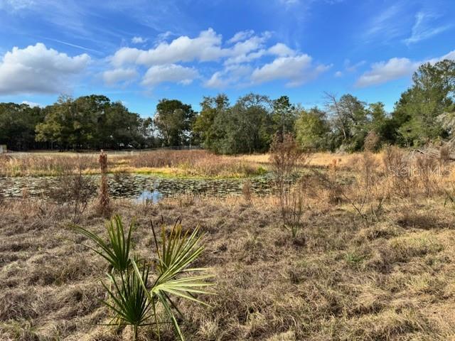 195 LAKE MOLLY AVE, DELAND, FL — photo 12