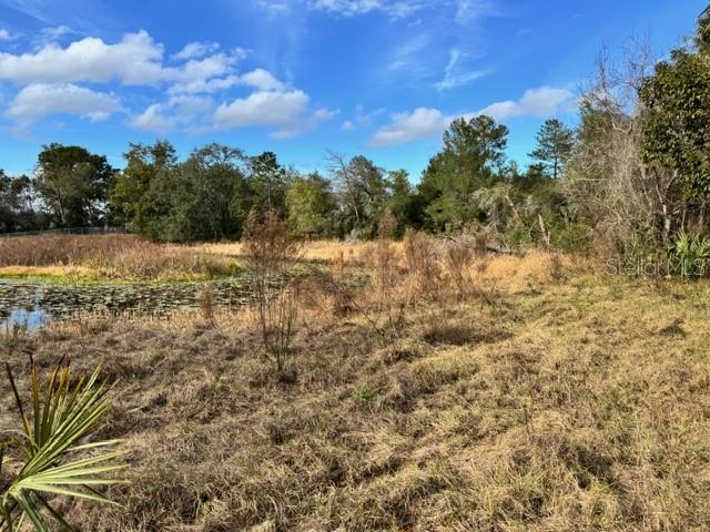 195 LAKE MOLLY AVE, DELAND, FL — photo 13