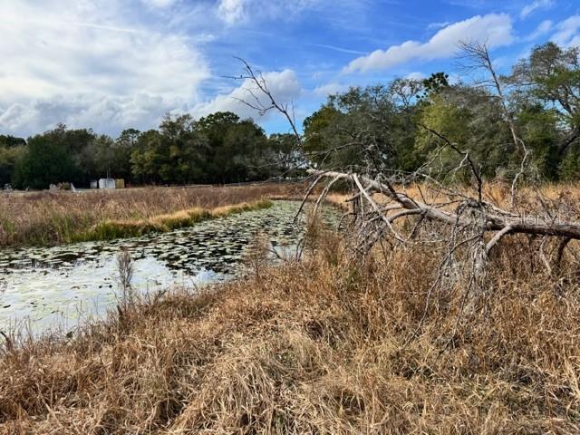 195 LAKE MOLLY AVE, DELAND, FL — photo 17