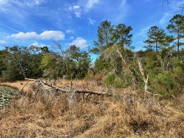 195 LAKE MOLLY AVE, DELAND, FL — photo 19