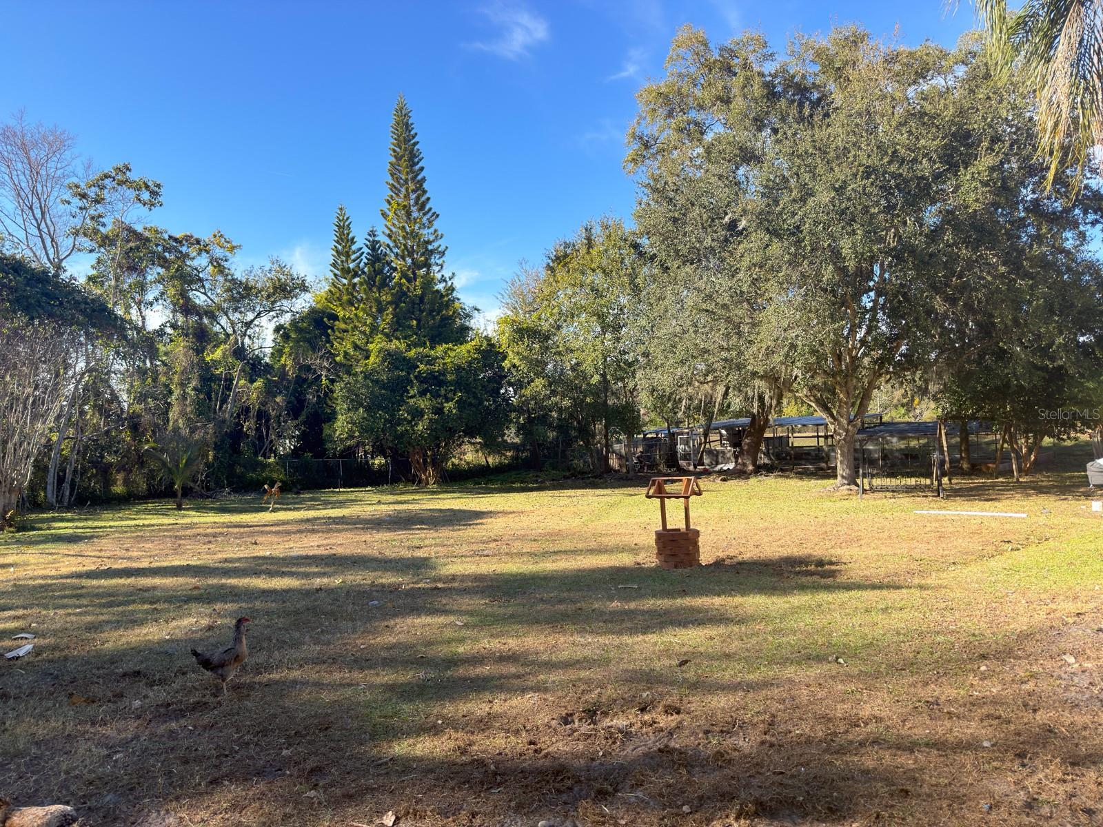 2426 GRESHAM DR, ORLANDO, FL — photo 24