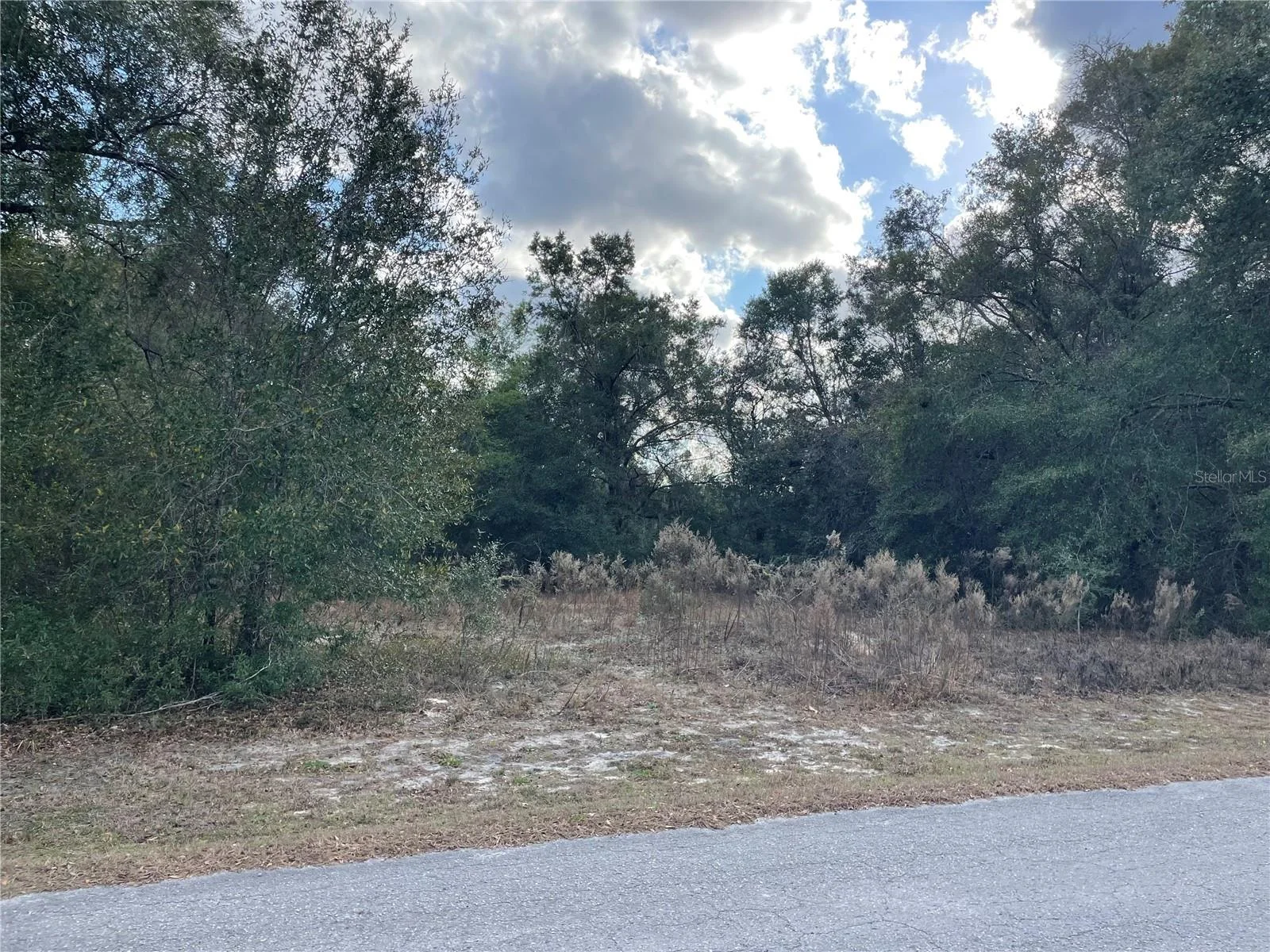 3798 E TULIPWOOD LN, HERNANDO, FL — photo 4