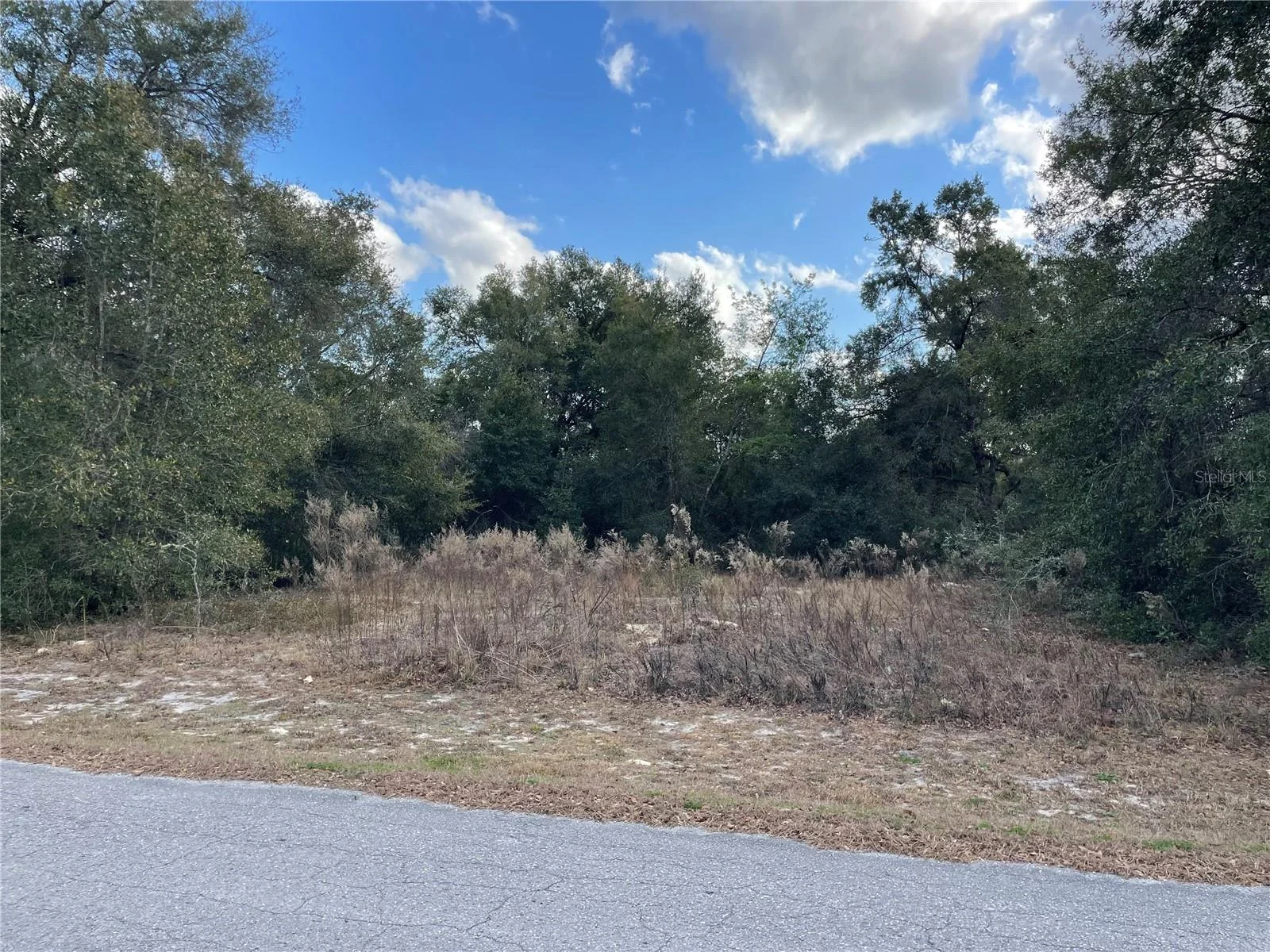 3798 E TULIPWOOD LN, HERNANDO, FL — photo 5