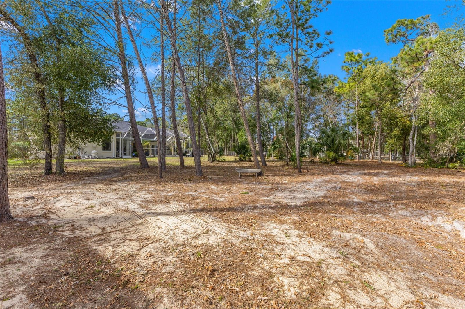 14071 LINDEN DR, SPRING HILL, FL — photo 60