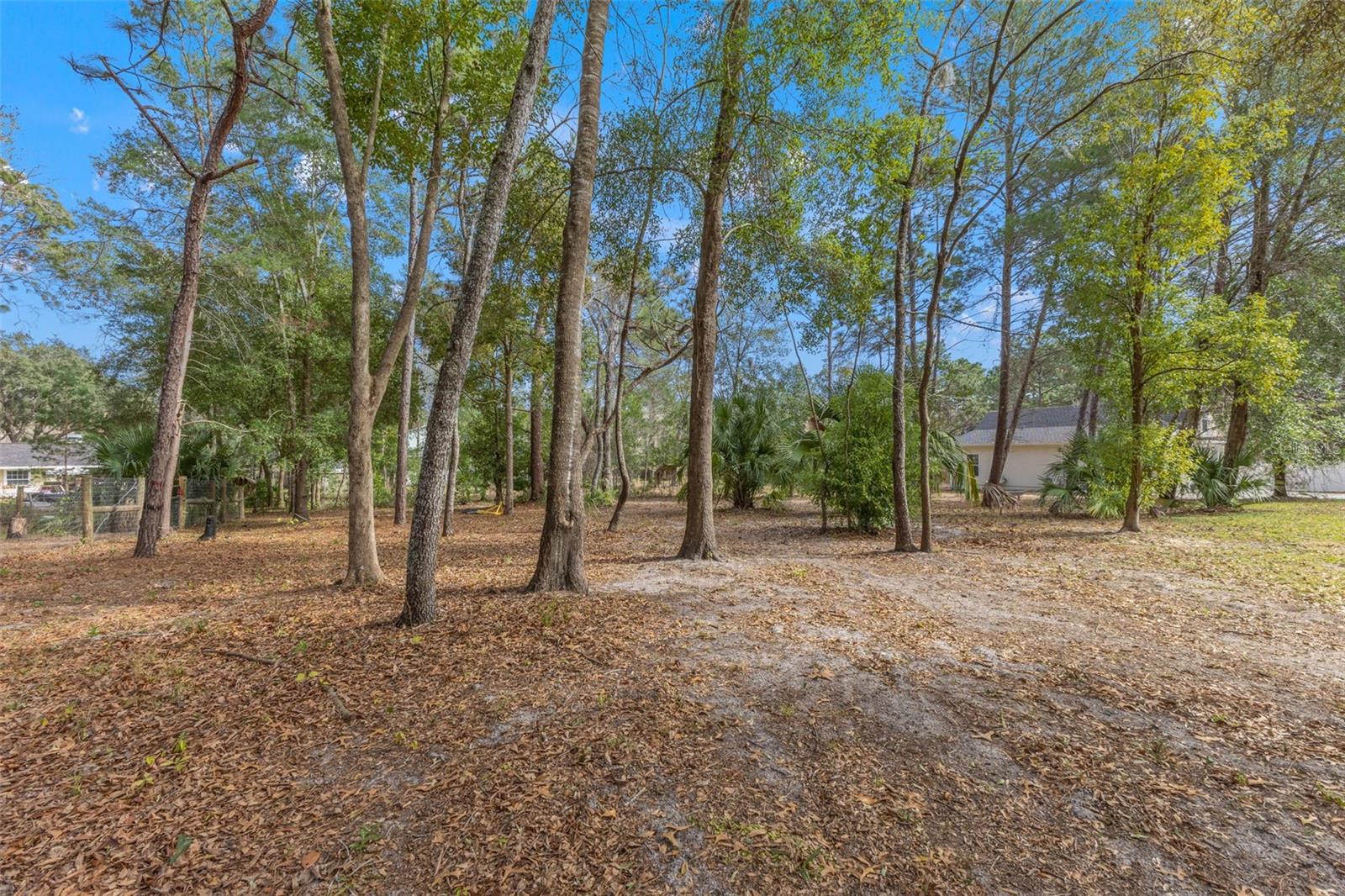 14071 LINDEN DR, SPRING HILL, FL — photo 63