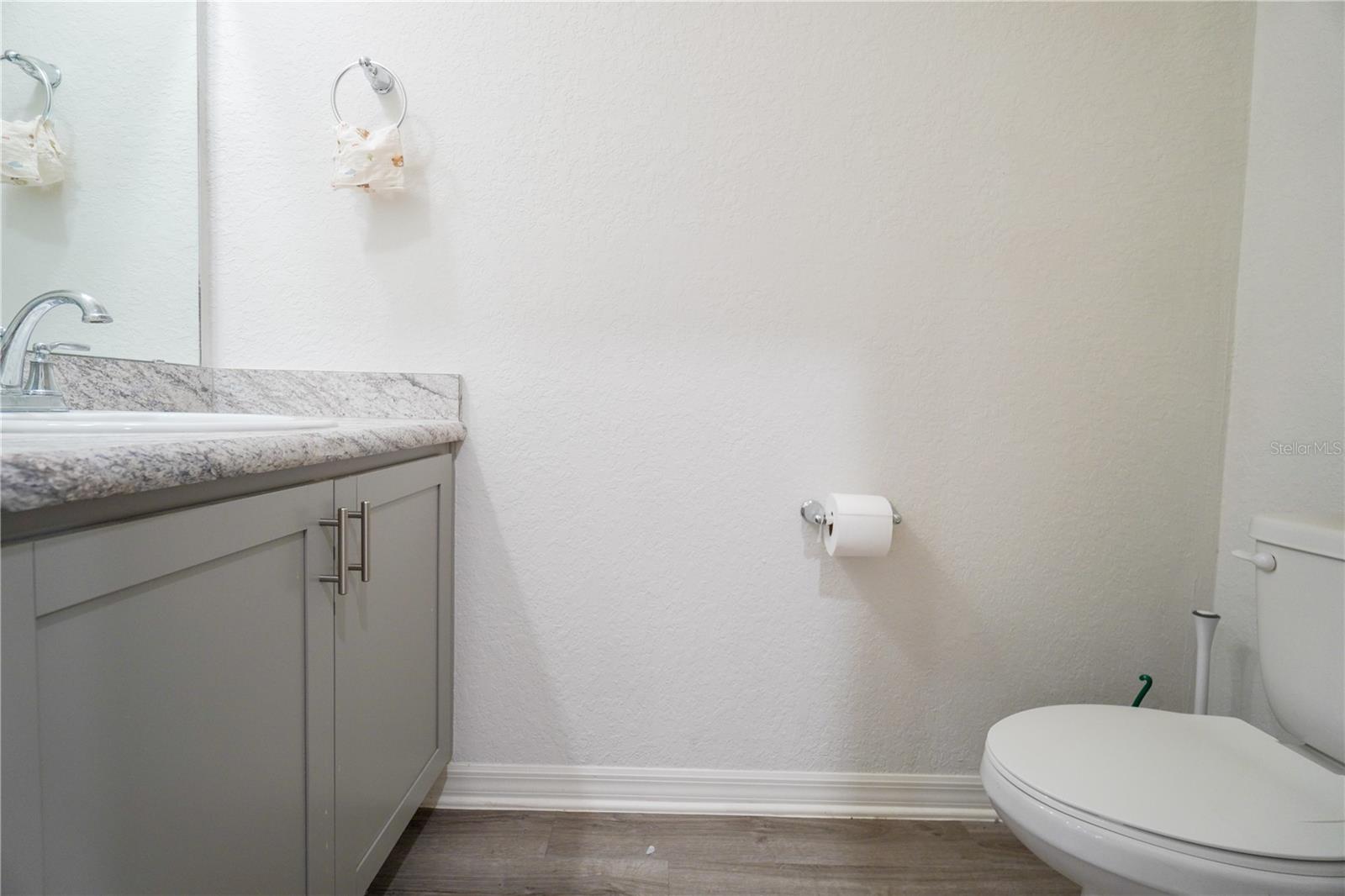 12288 CYPRESS BRANCH ST, RIVERVIEW, FL — photo 34