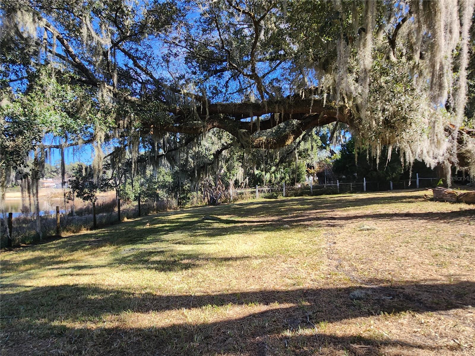 25 EMERALD DR, OCALA, FL — photo 57