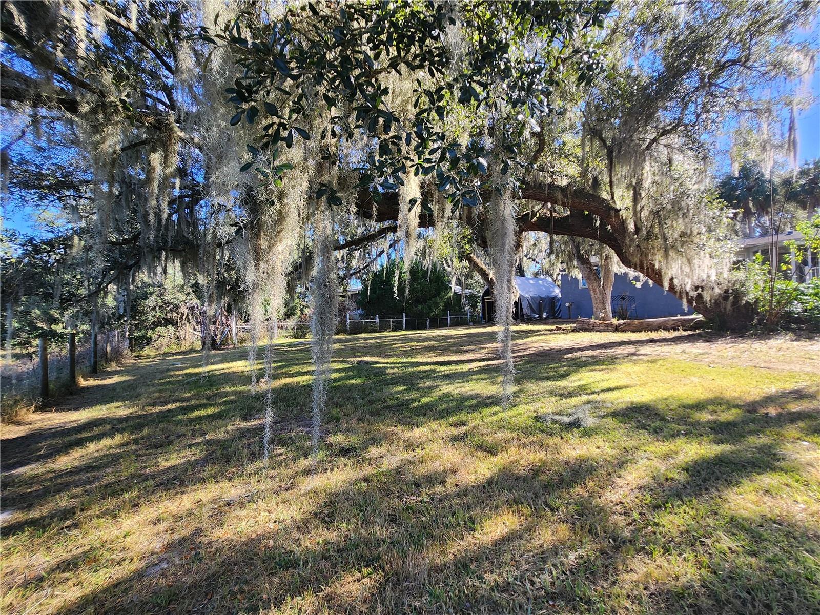 25 EMERALD DR, OCALA, FL — photo 58