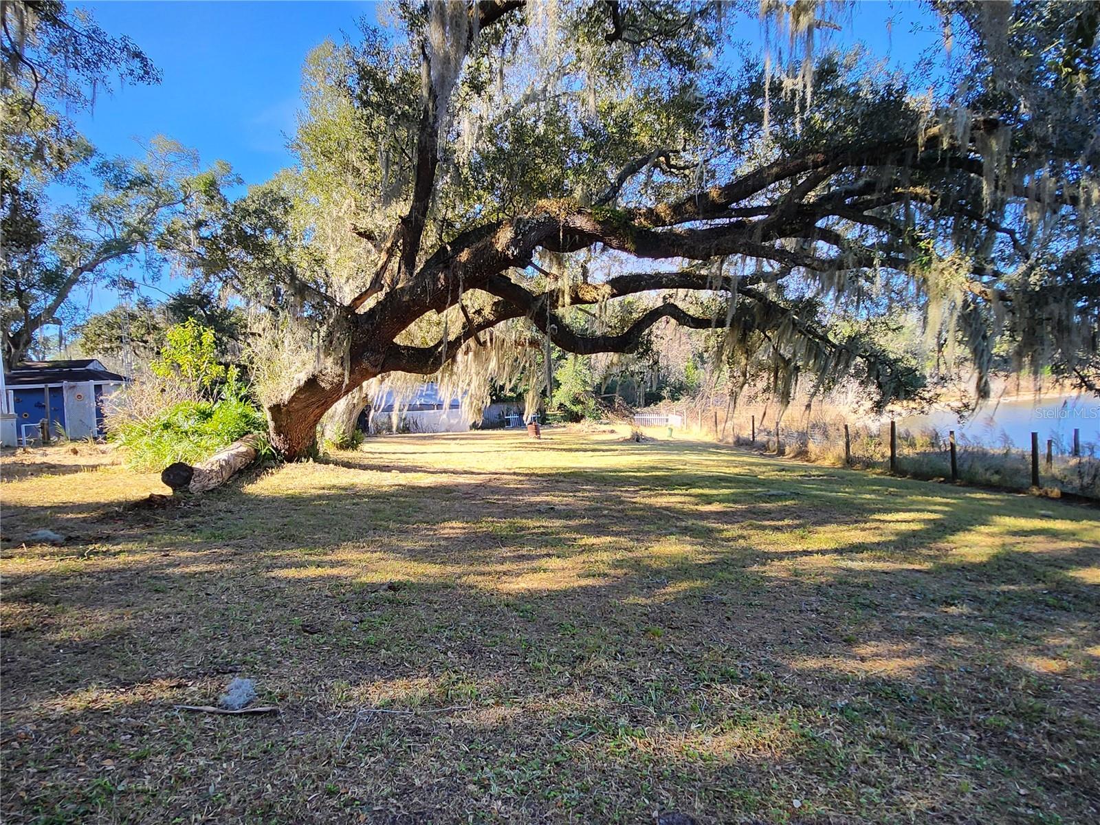25 EMERALD DR, OCALA, FL — photo 66