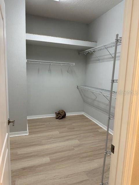 16758 ABBEY HILL CT, CLERMONT, FL — photo 22
