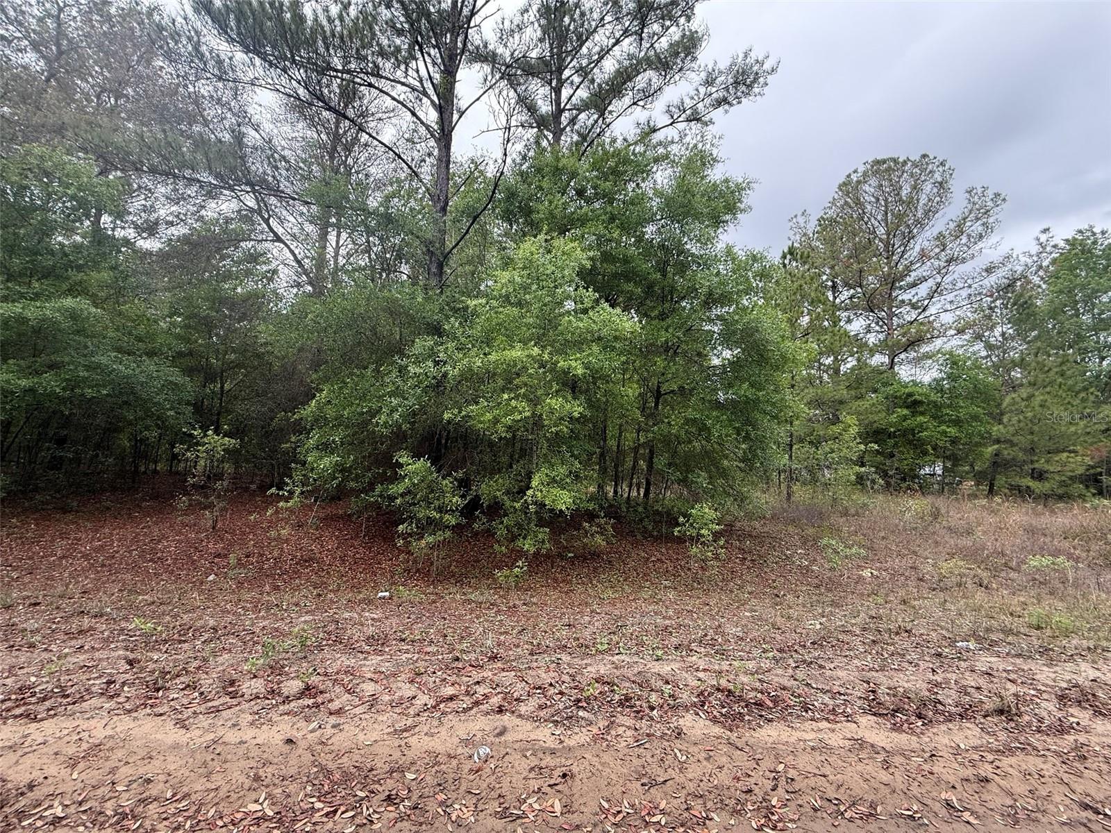 MALTAS AVE, INTERLACHEN, FL — photo 4
