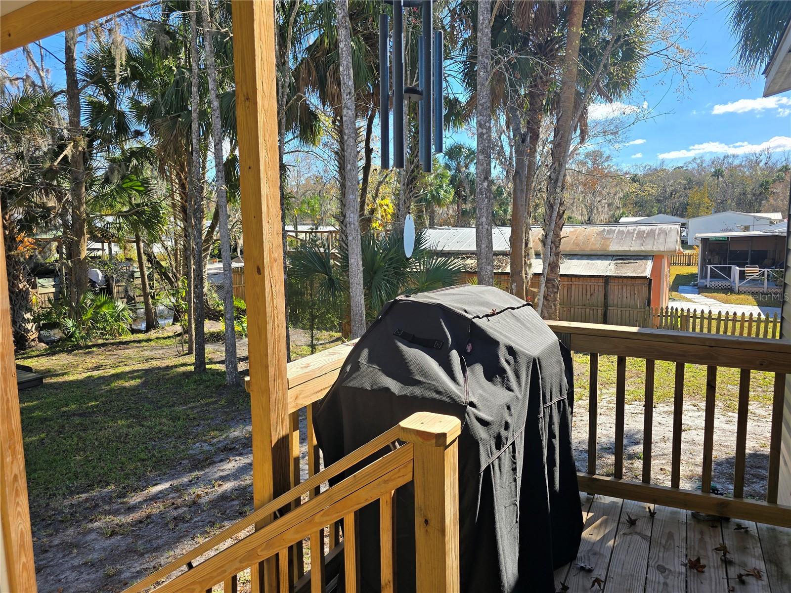 56290 CHERRY TREE RD, ASTOR, FL — photo 9
