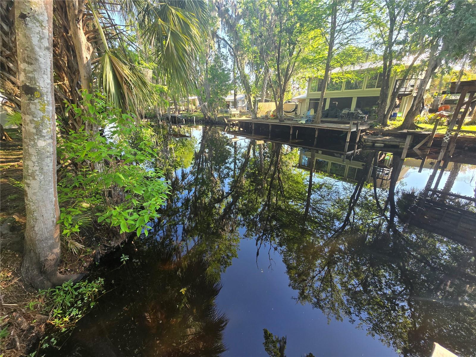 56290 CHERRY TREE RD, ASTOR, FL — photo 51