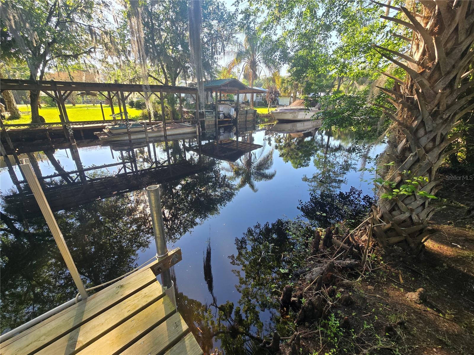 56290 CHERRY TREE RD, ASTOR, FL — photo 53