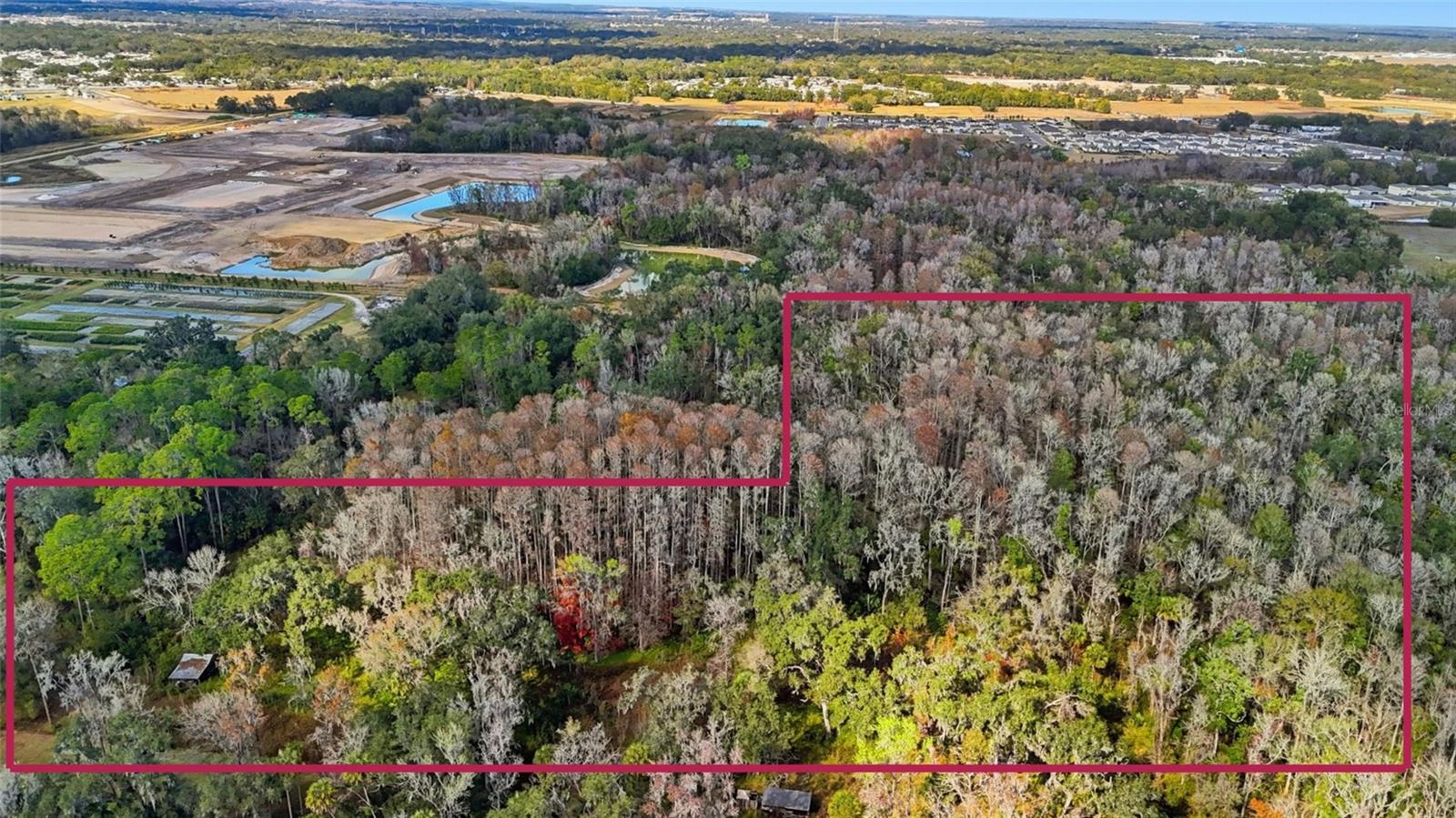 HIGGINSON RD, ZEPHYRHILLS, FL