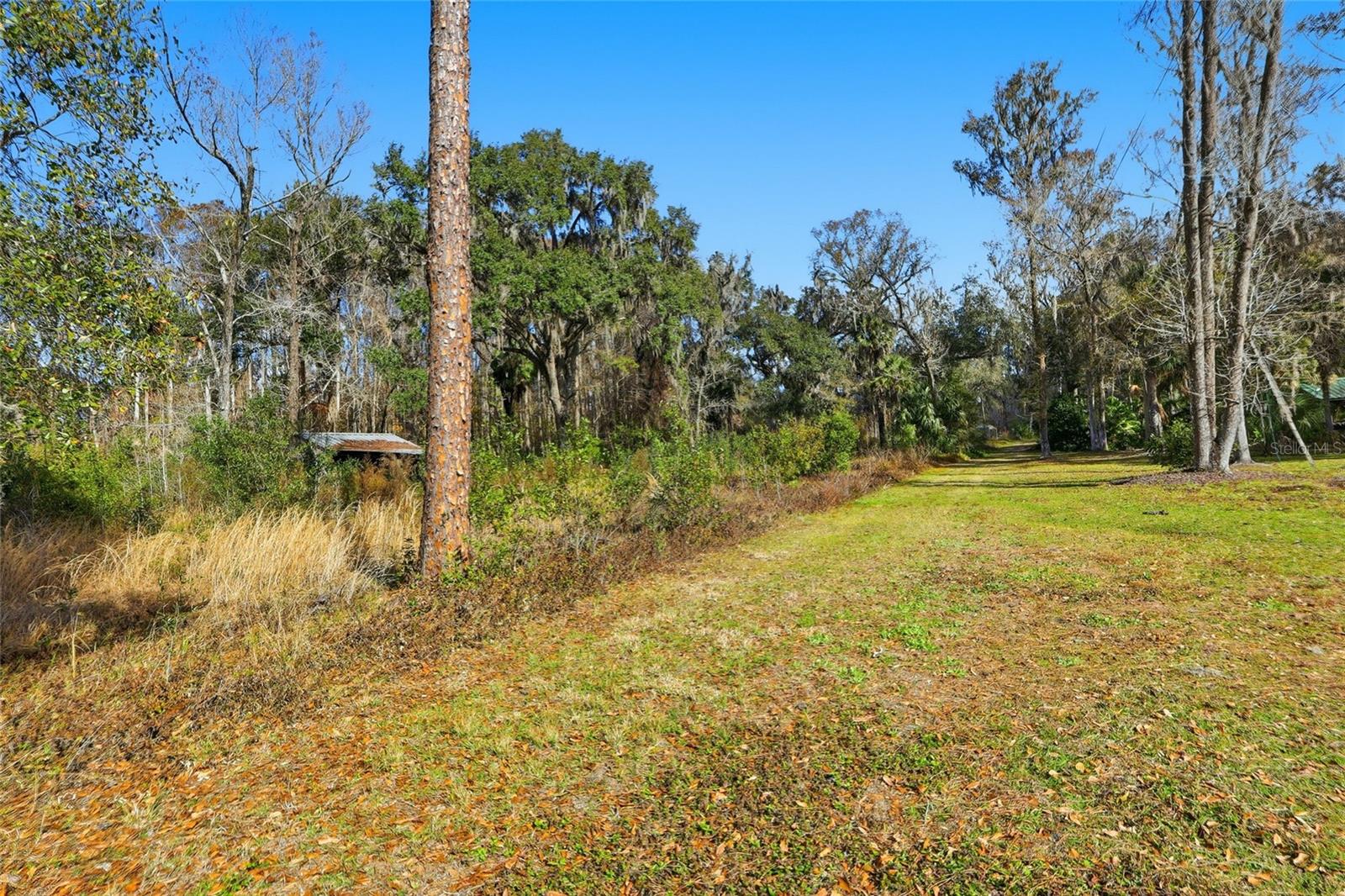 HIGGINSON RD, ZEPHYRHILLS, FL — photo 2