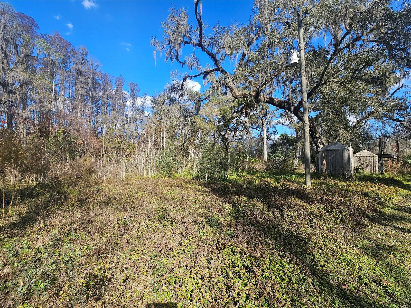 HIGGINSON RD, ZEPHYRHILLS, FL — photo 6