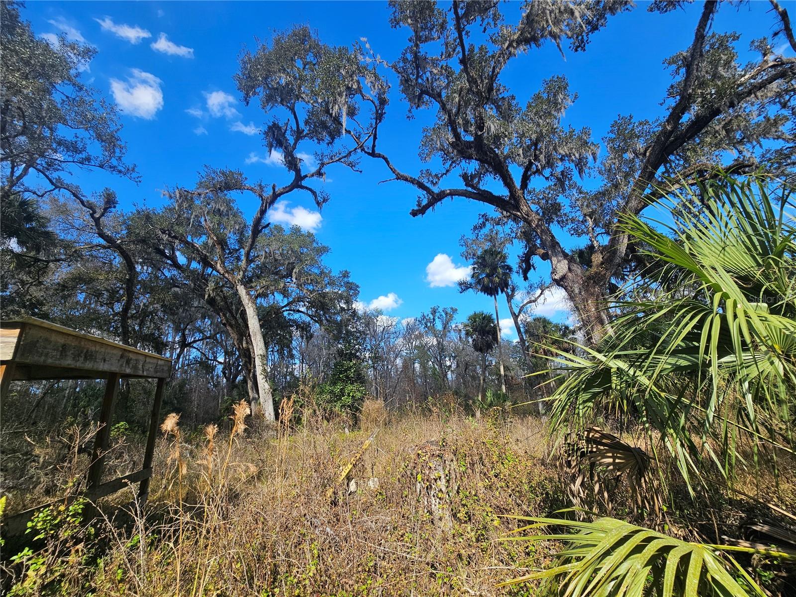 HIGGINSON RD, ZEPHYRHILLS, FL — photo 8