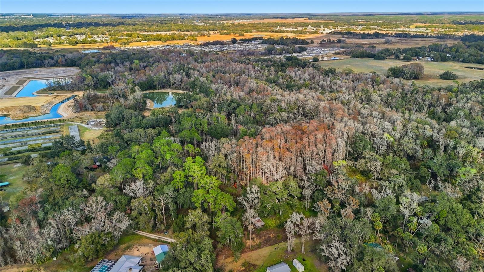 HIGGINSON RD, ZEPHYRHILLS, FL — photo 9