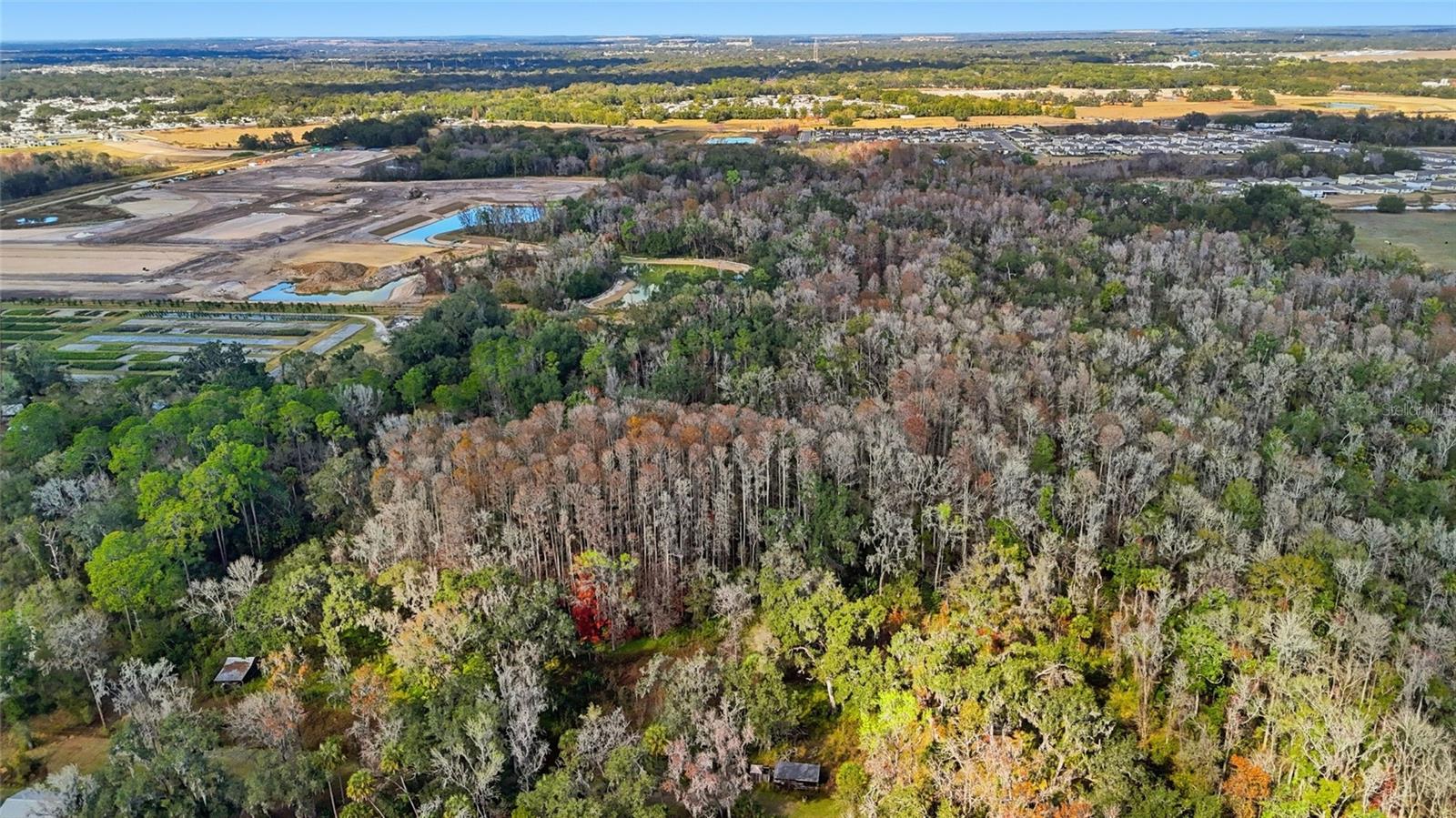 HIGGINSON RD, ZEPHYRHILLS, FL — photo 10