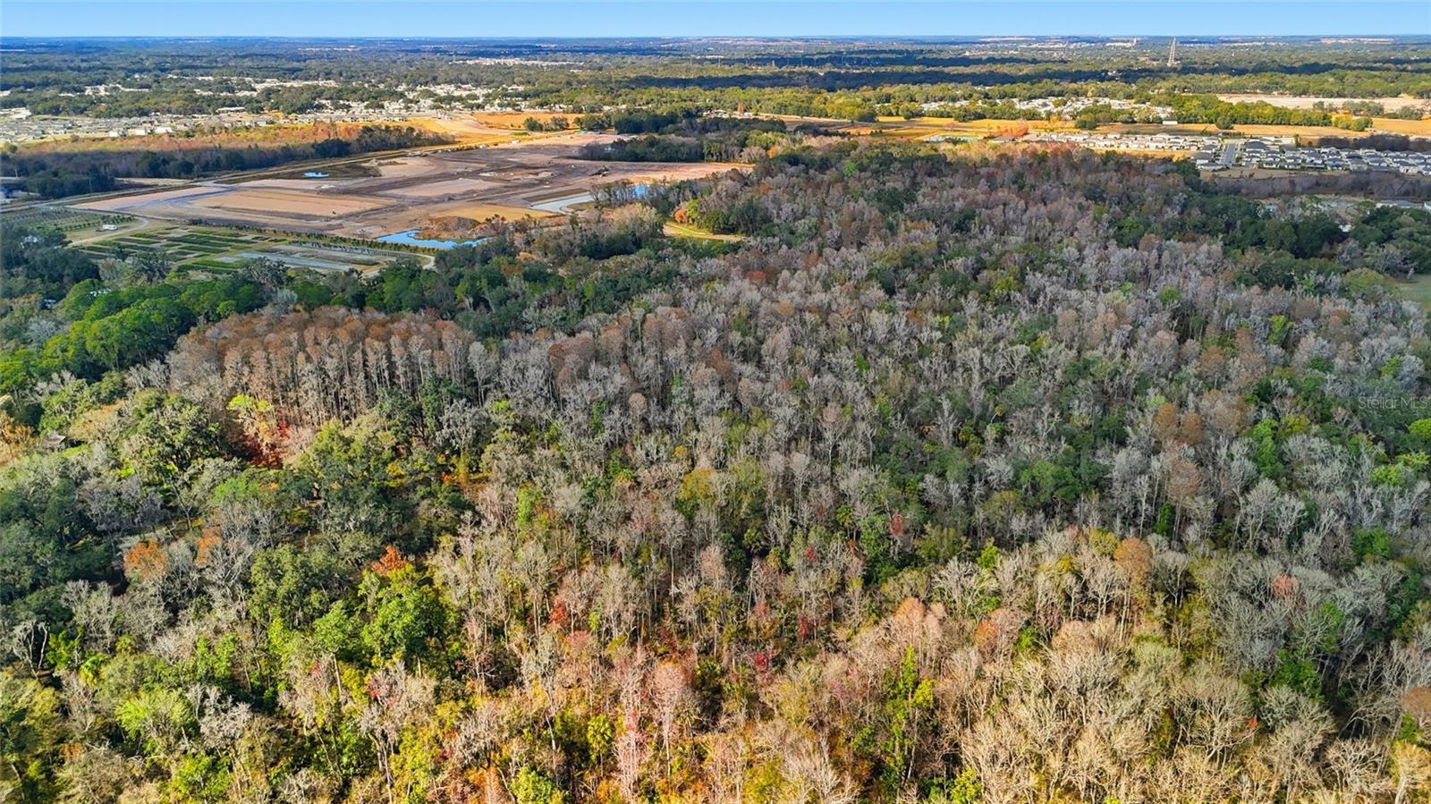 HIGGINSON RD, ZEPHYRHILLS, FL — photo 11