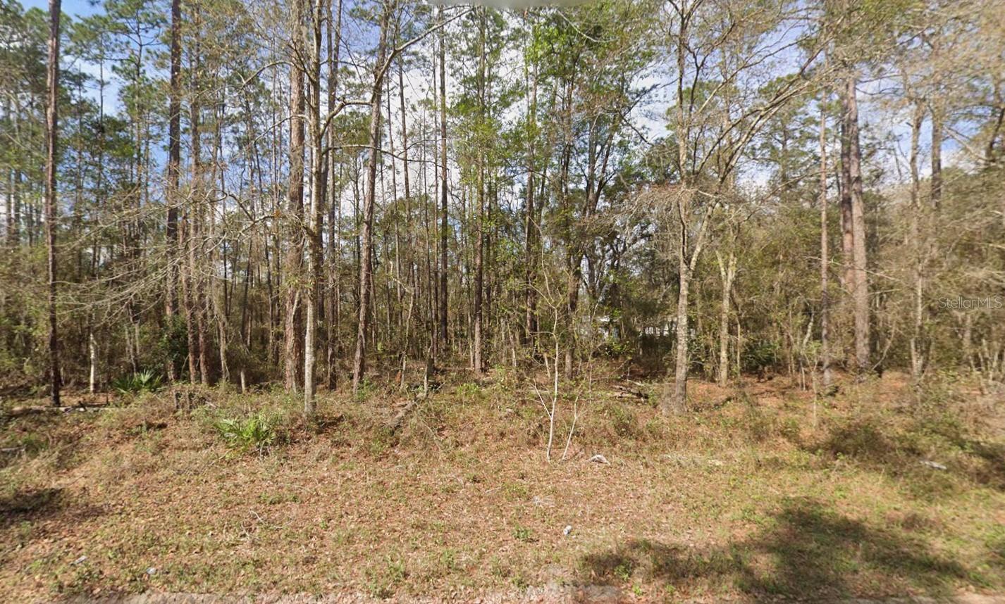 SEMINOLE AVE, INTERLACHEN, FL — photo 6