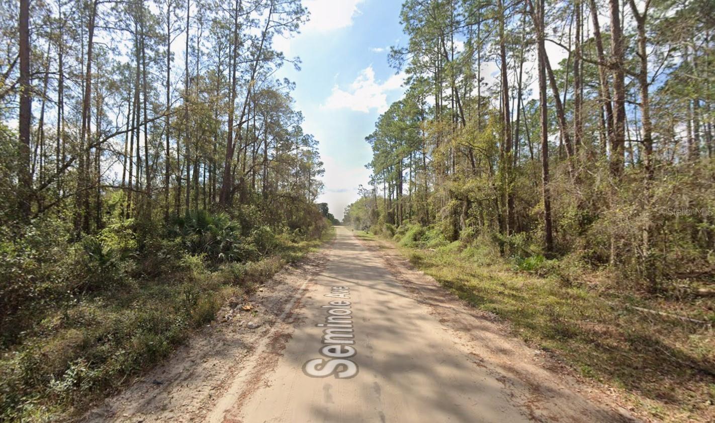 SEMINOLE AVE, INTERLACHEN, FL — photo 7