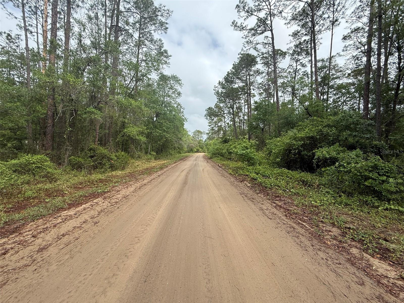 SEMINOLE AVE, INTERLACHEN, FL — photo 3