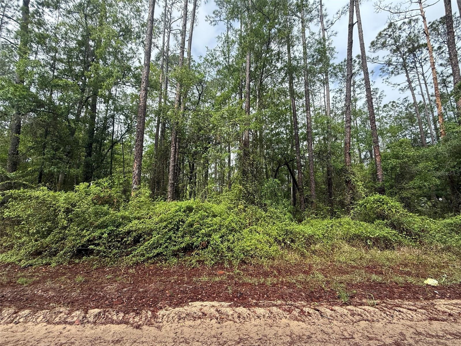 SEMINOLE AVE, INTERLACHEN, FL — photo 4