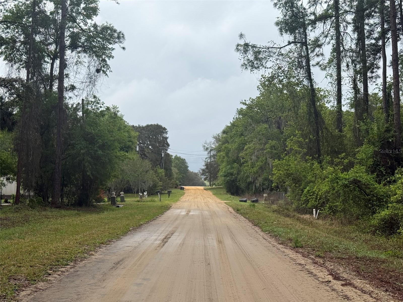 SEMINOLE AVE, INTERLACHEN, FL — photo 10